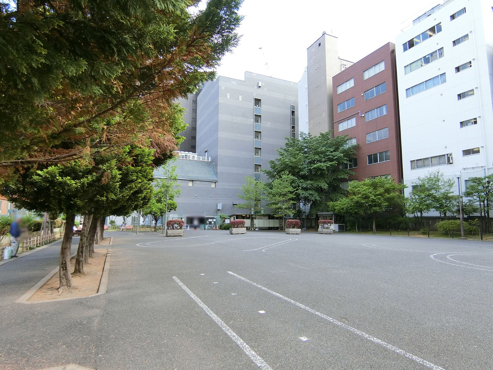 近くの小川広場