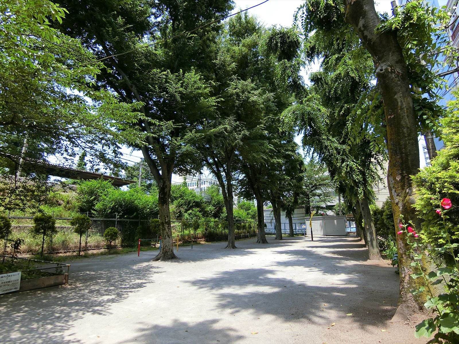 ビル前の神宮通公園