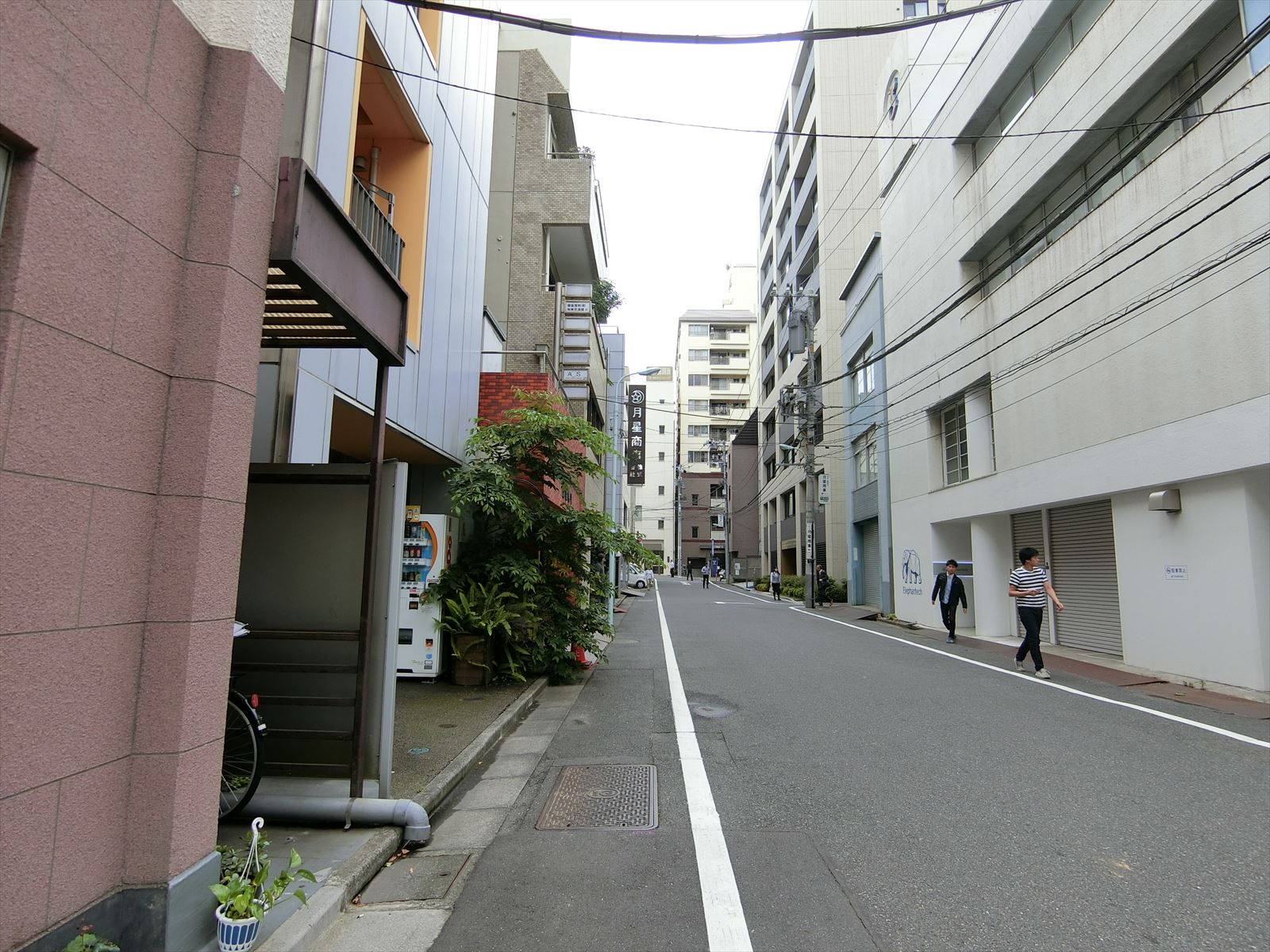 白橋ビル前面の通り