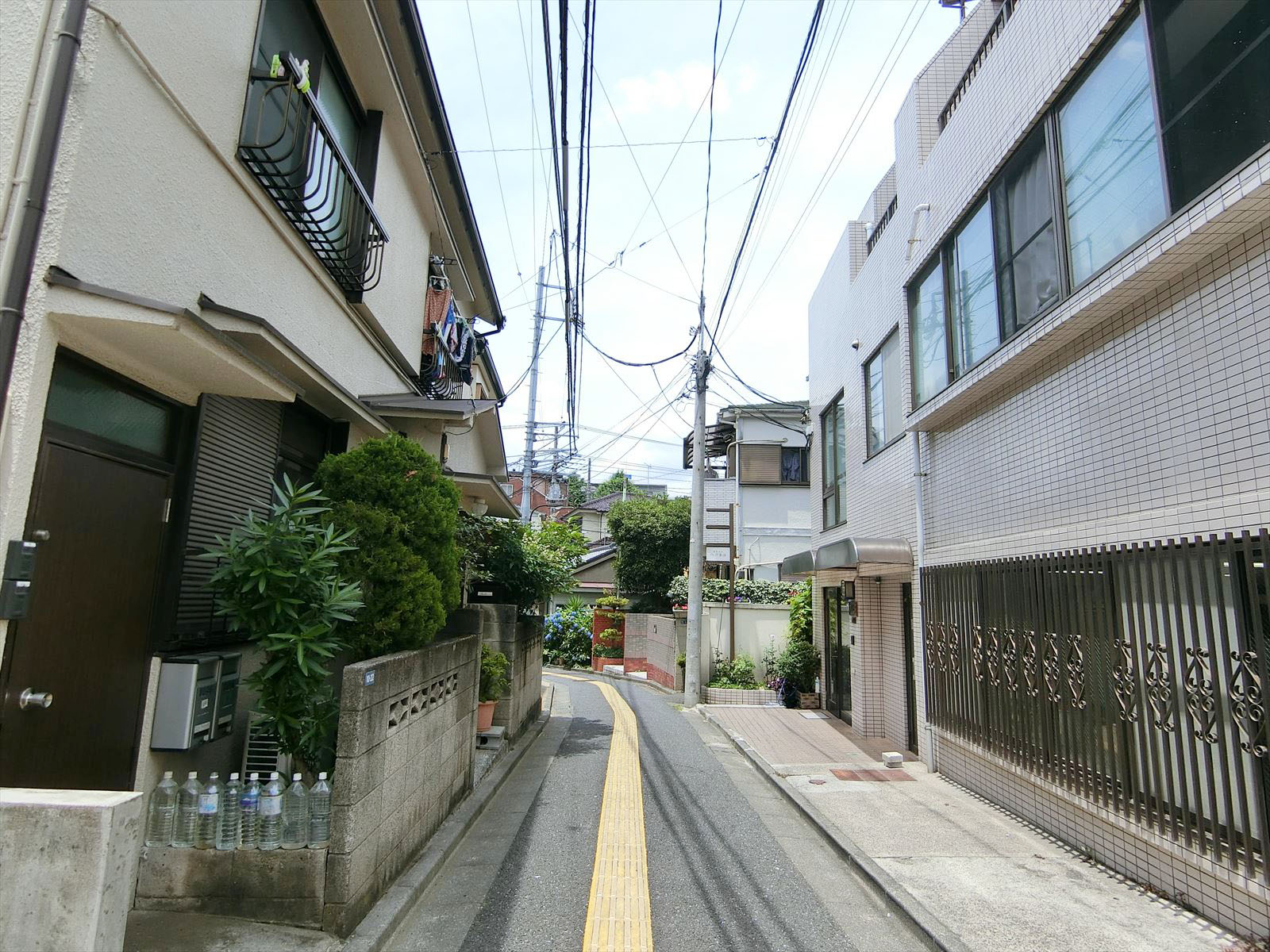 フジビル前面の通り