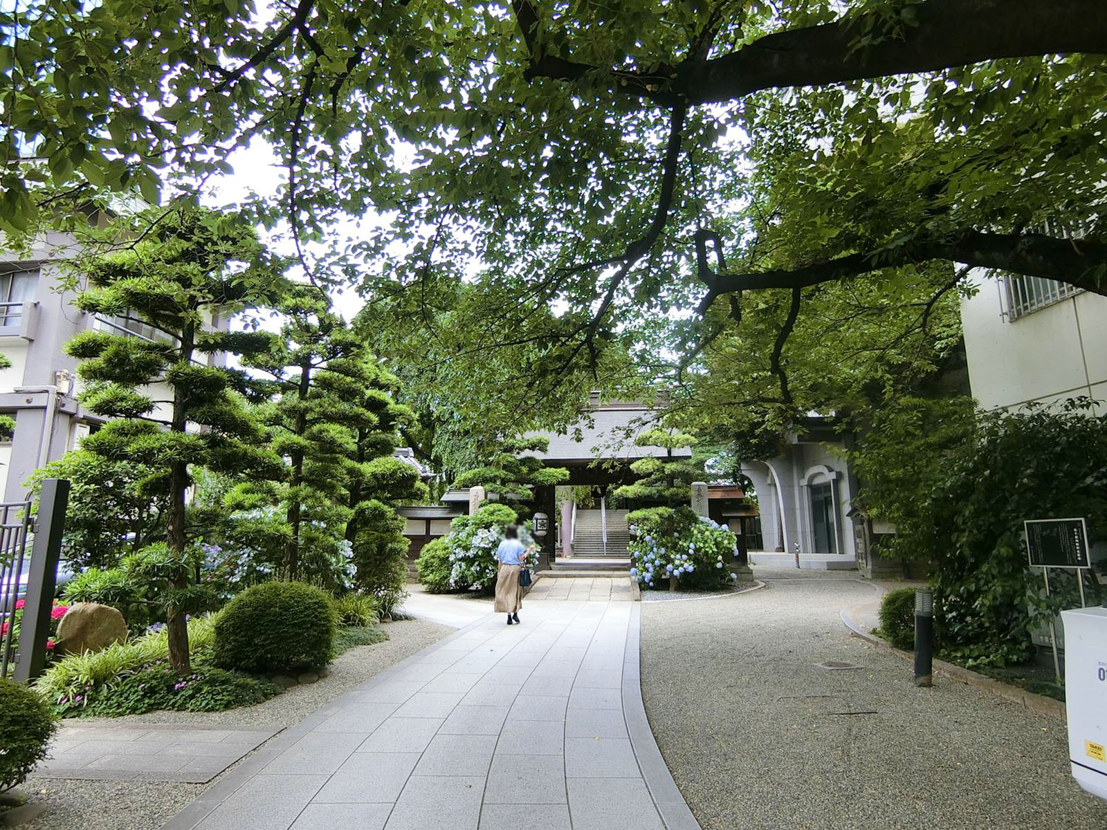 近くの常圓寺