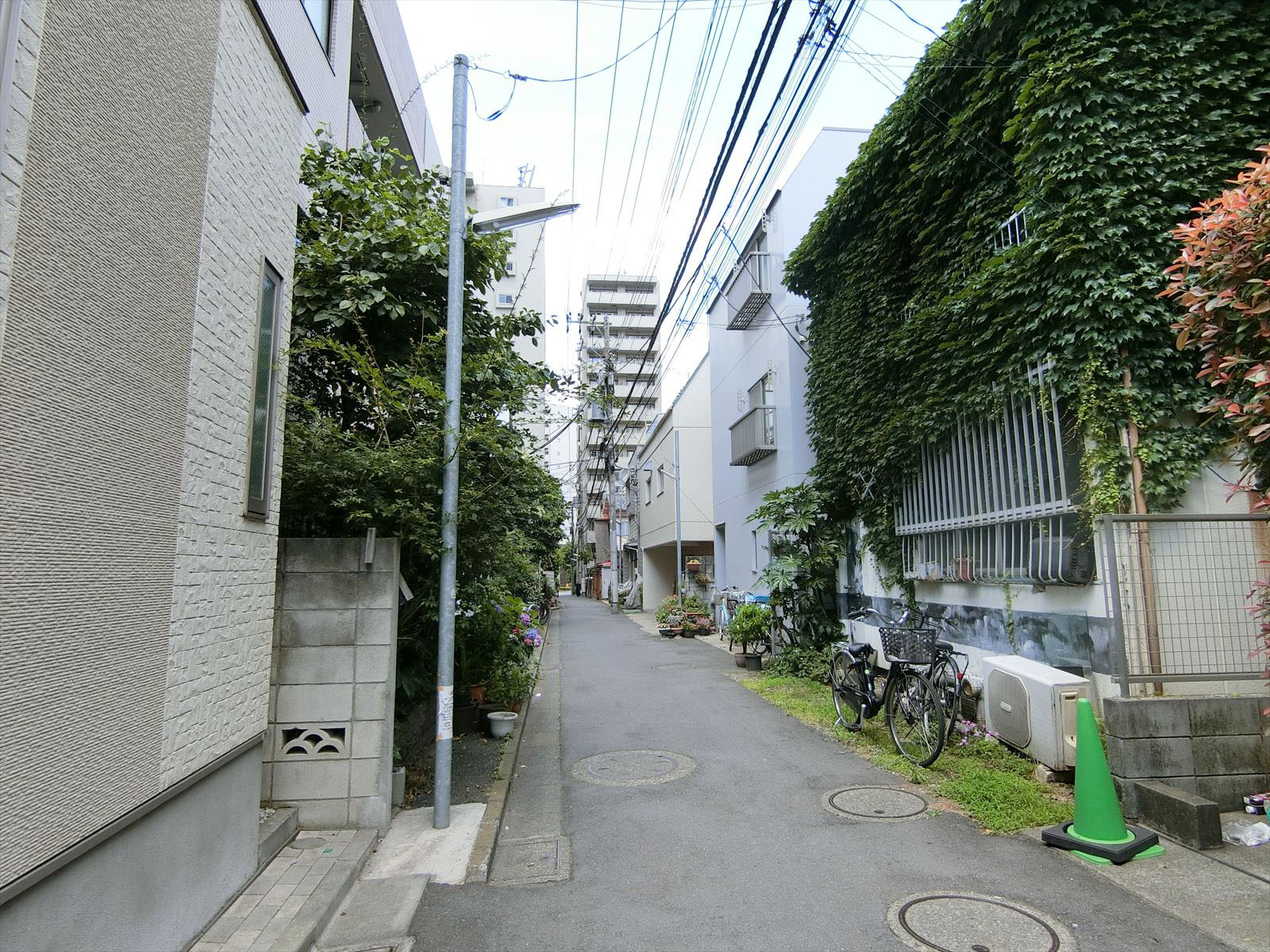 西新宿戸建前面の通り