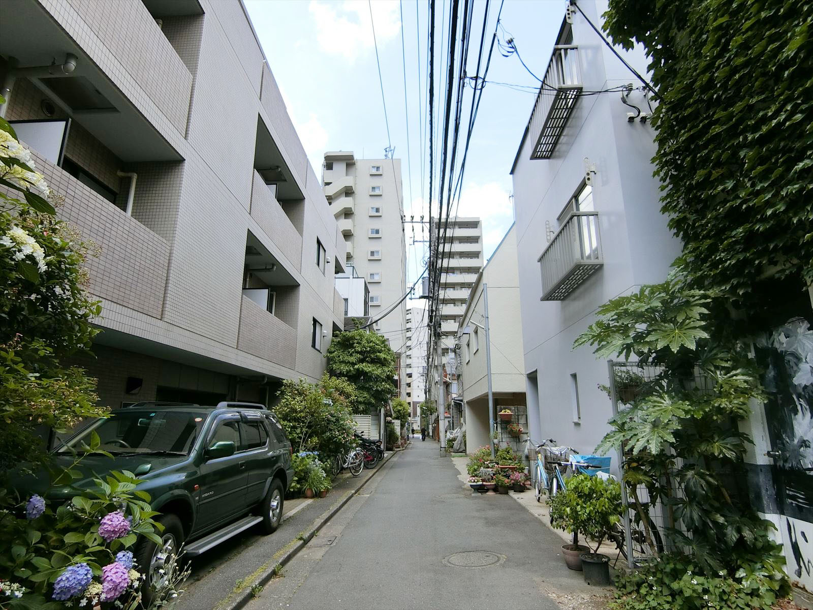 周囲は住宅街