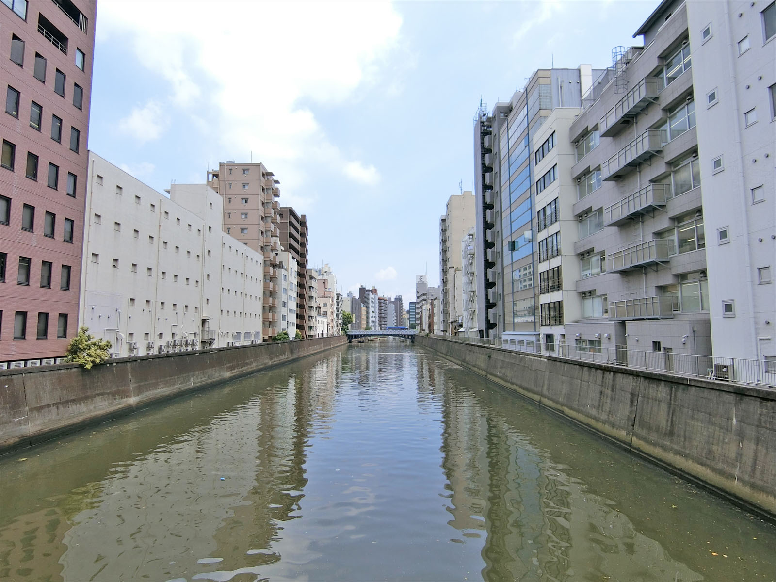 裏手を流れる神田川