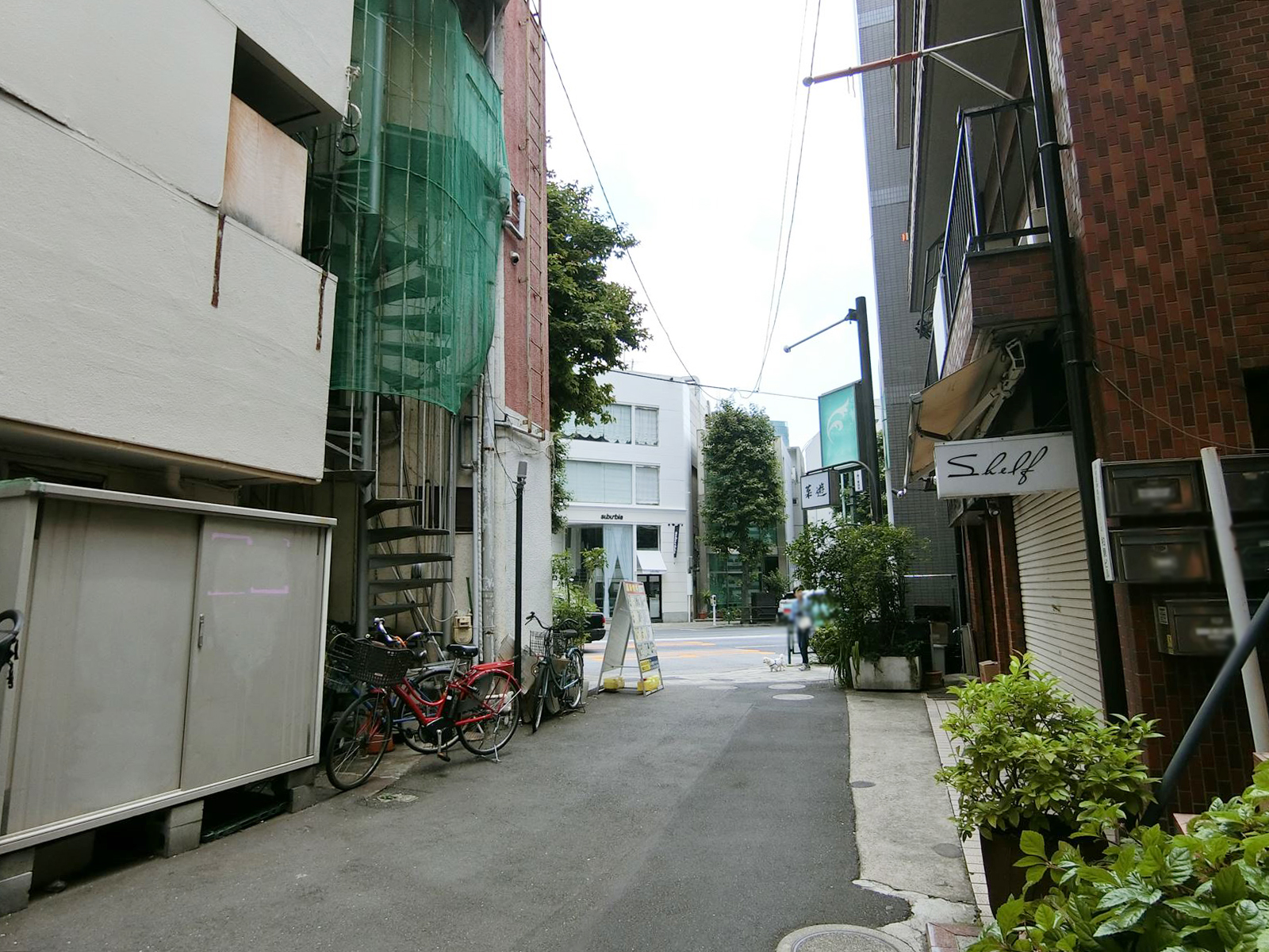 パークプレイス神宮前前面の通り