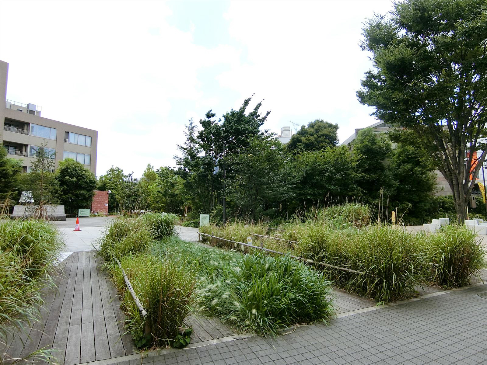 付近の原宿一丁目公園