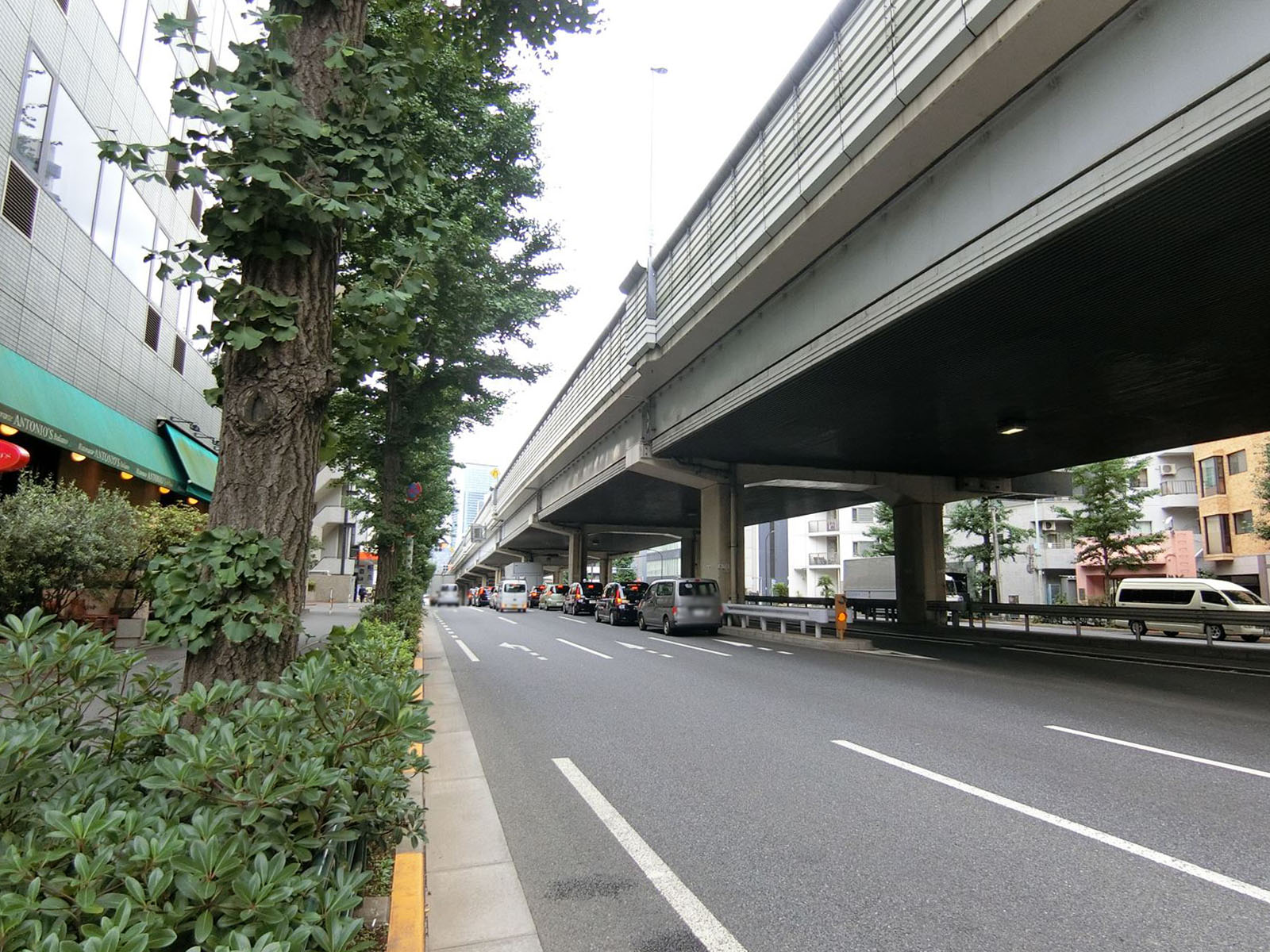 前面の六本木通り
