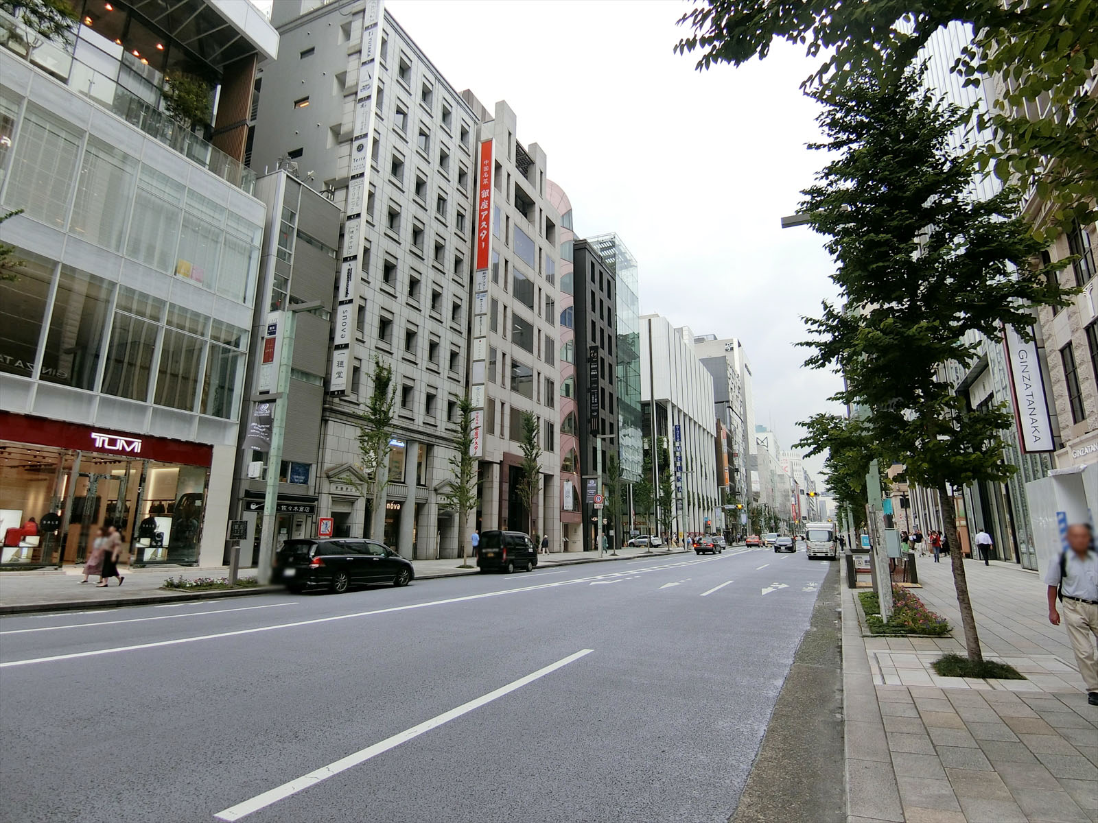 近くの中央通り