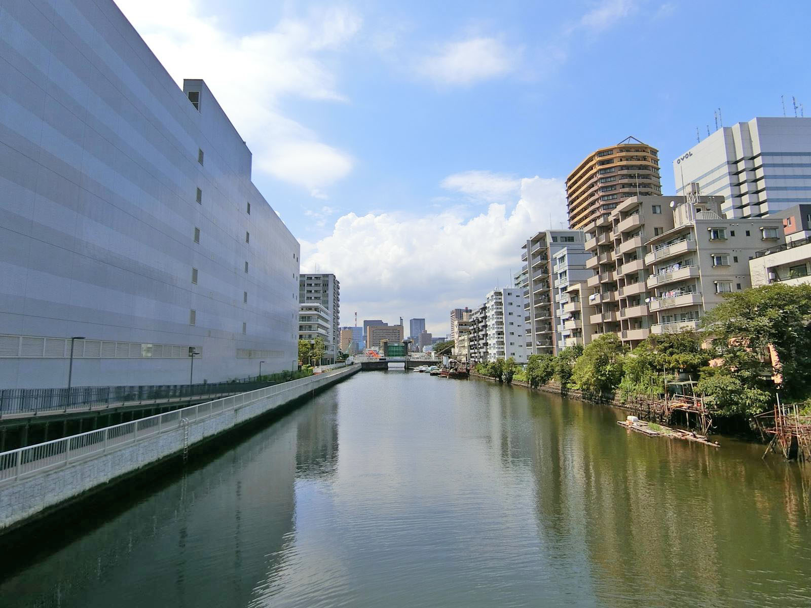 裏手を流れる朝潮運河