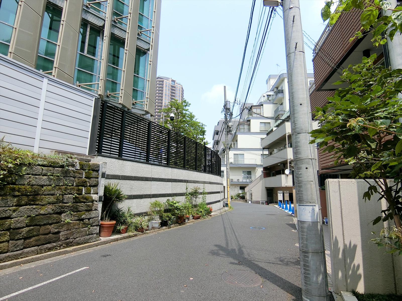 エスパステテ前面の通り