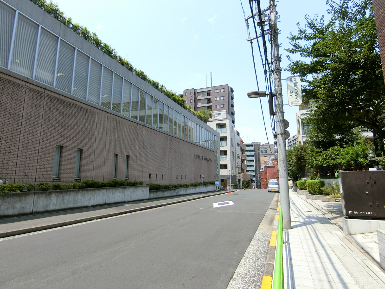 MLC麹町ビル前面の通り