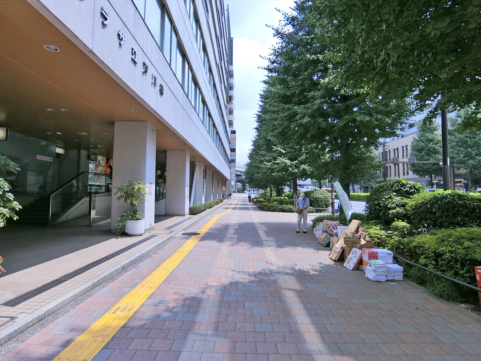 プラザ江戸川橋前面の通り