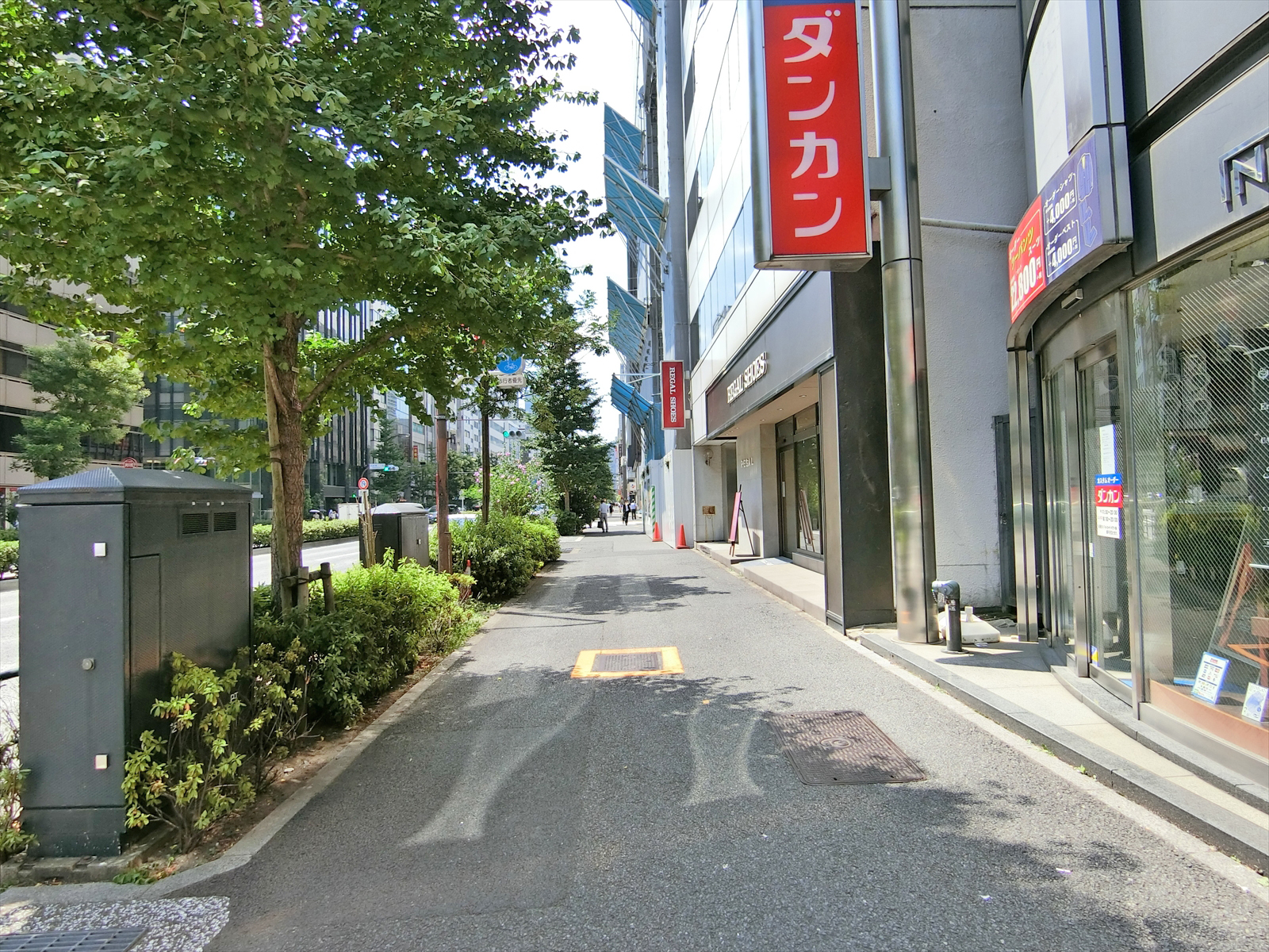 ノアックスビル前面の通り