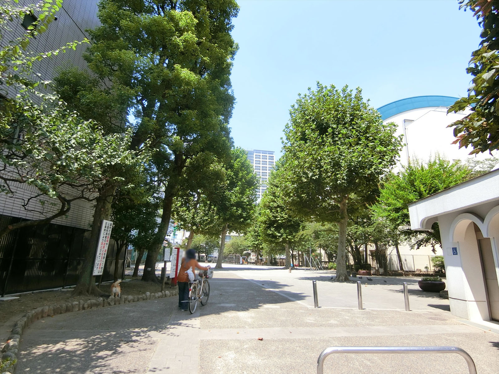 徒歩3分の柳北公園