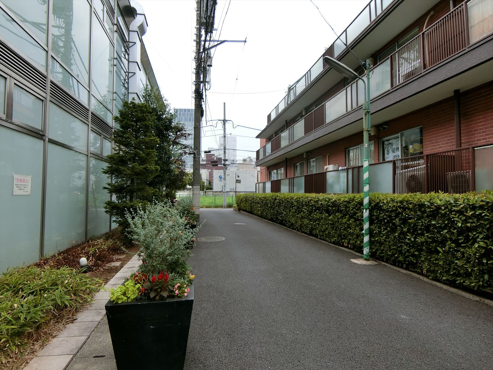 オフィスビル前面の通り