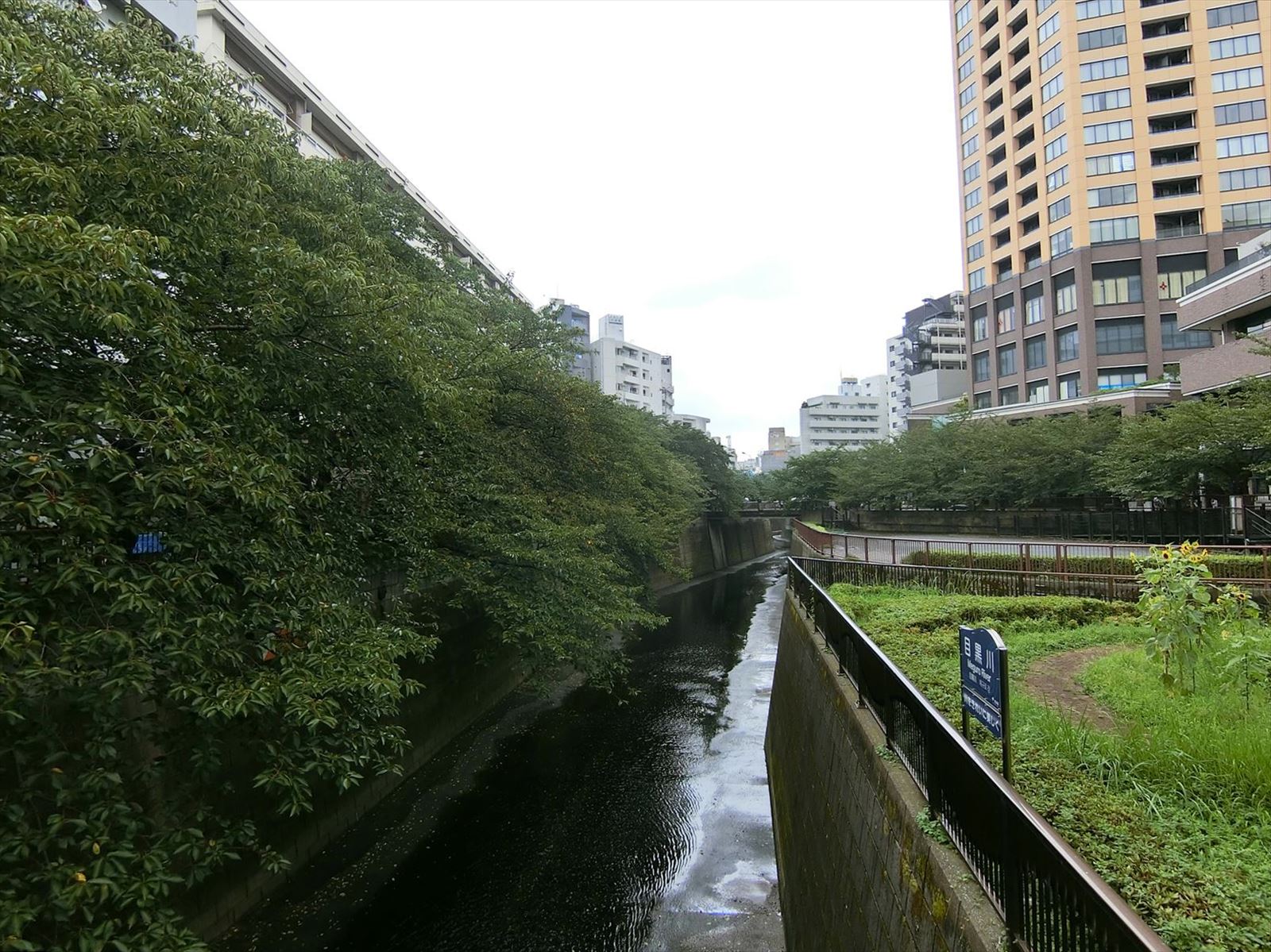 近くの目黒川