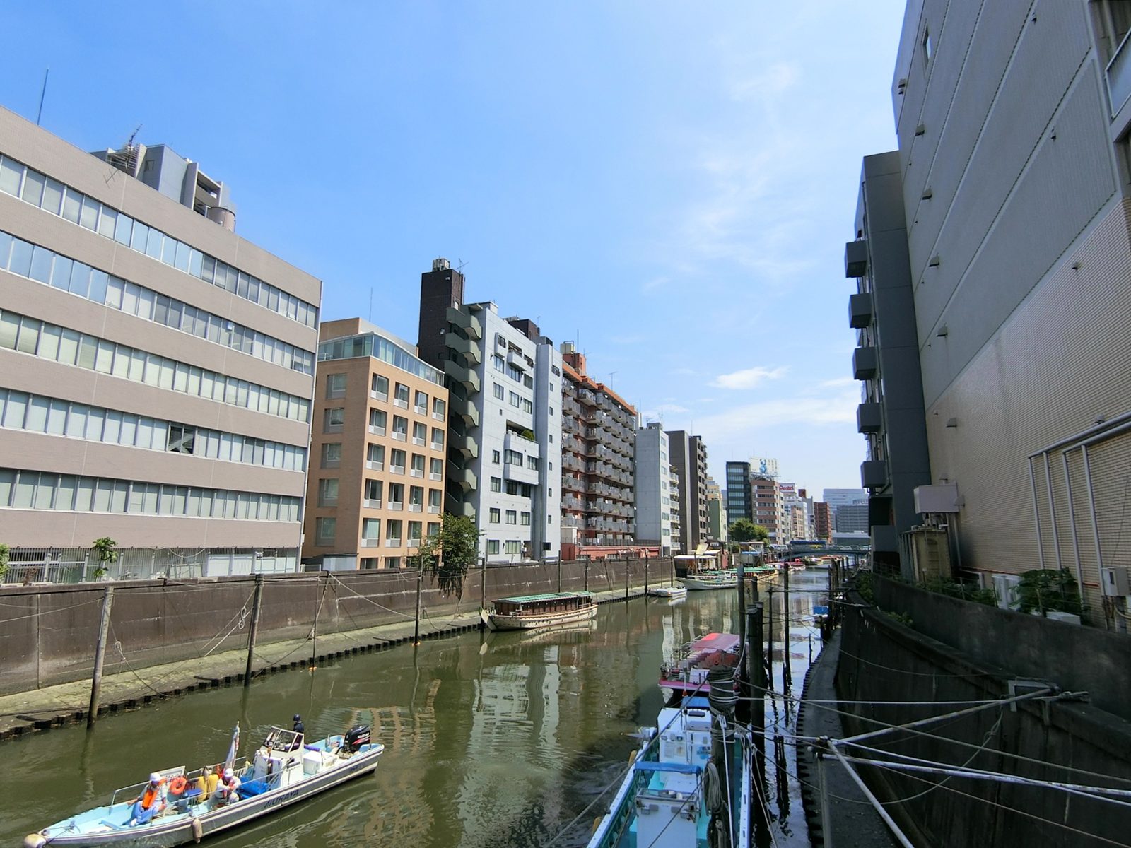 近くの神田川