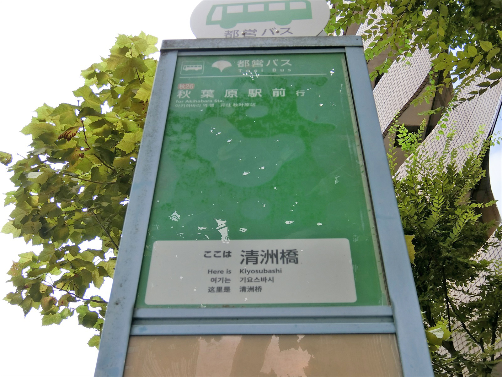 近くのバス停