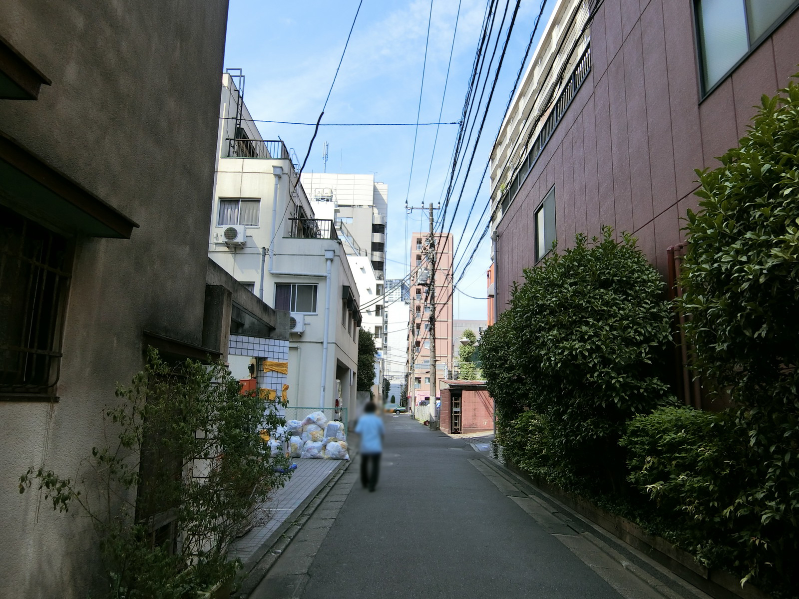 シンフォレストビル前面の通り