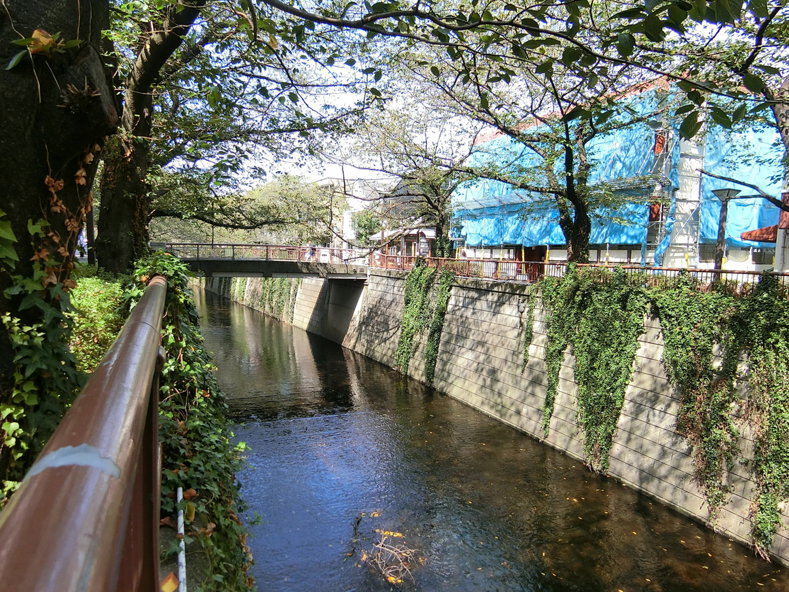 付近の目黒川