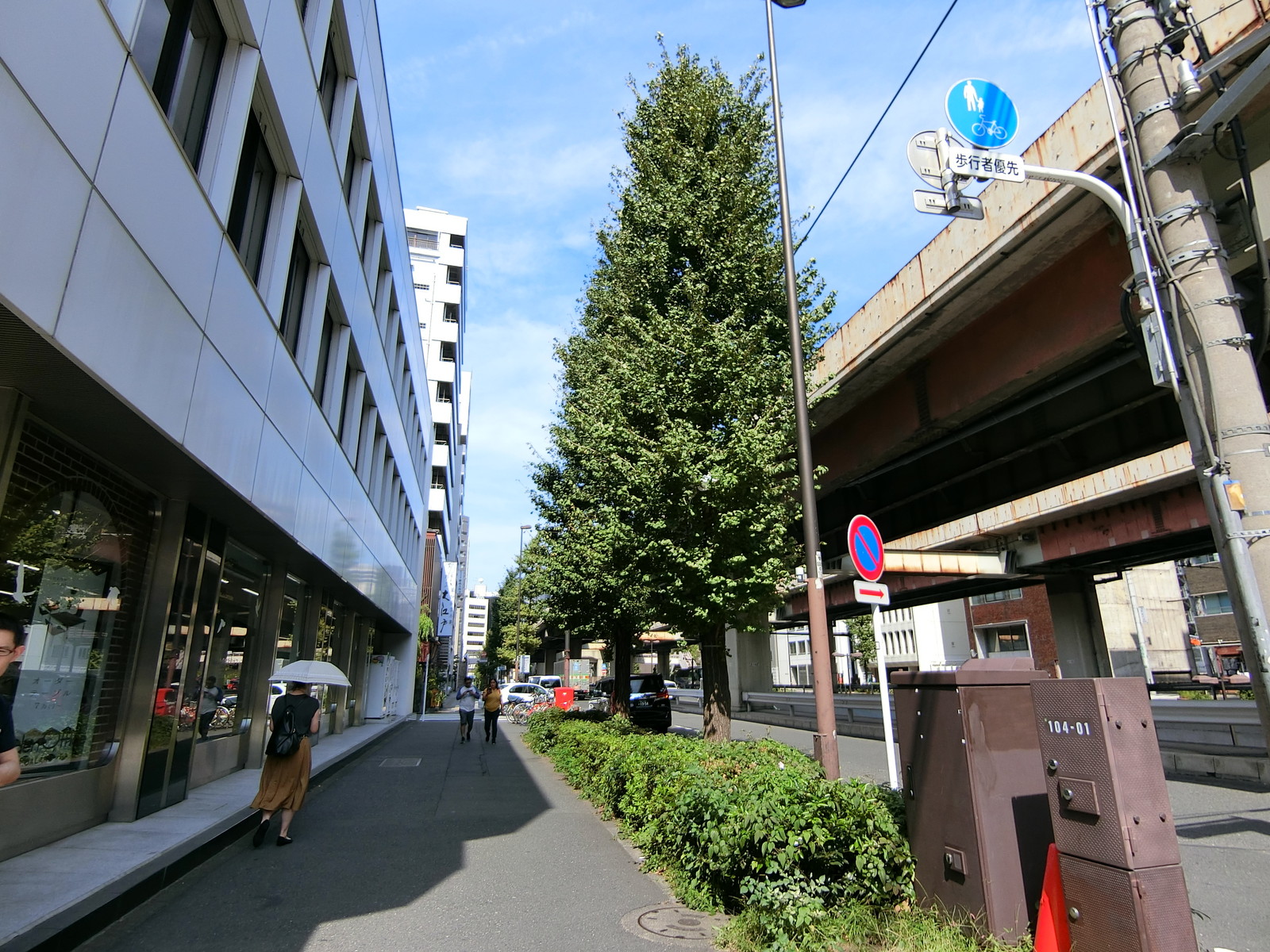 サトービル前面の昭和通り
