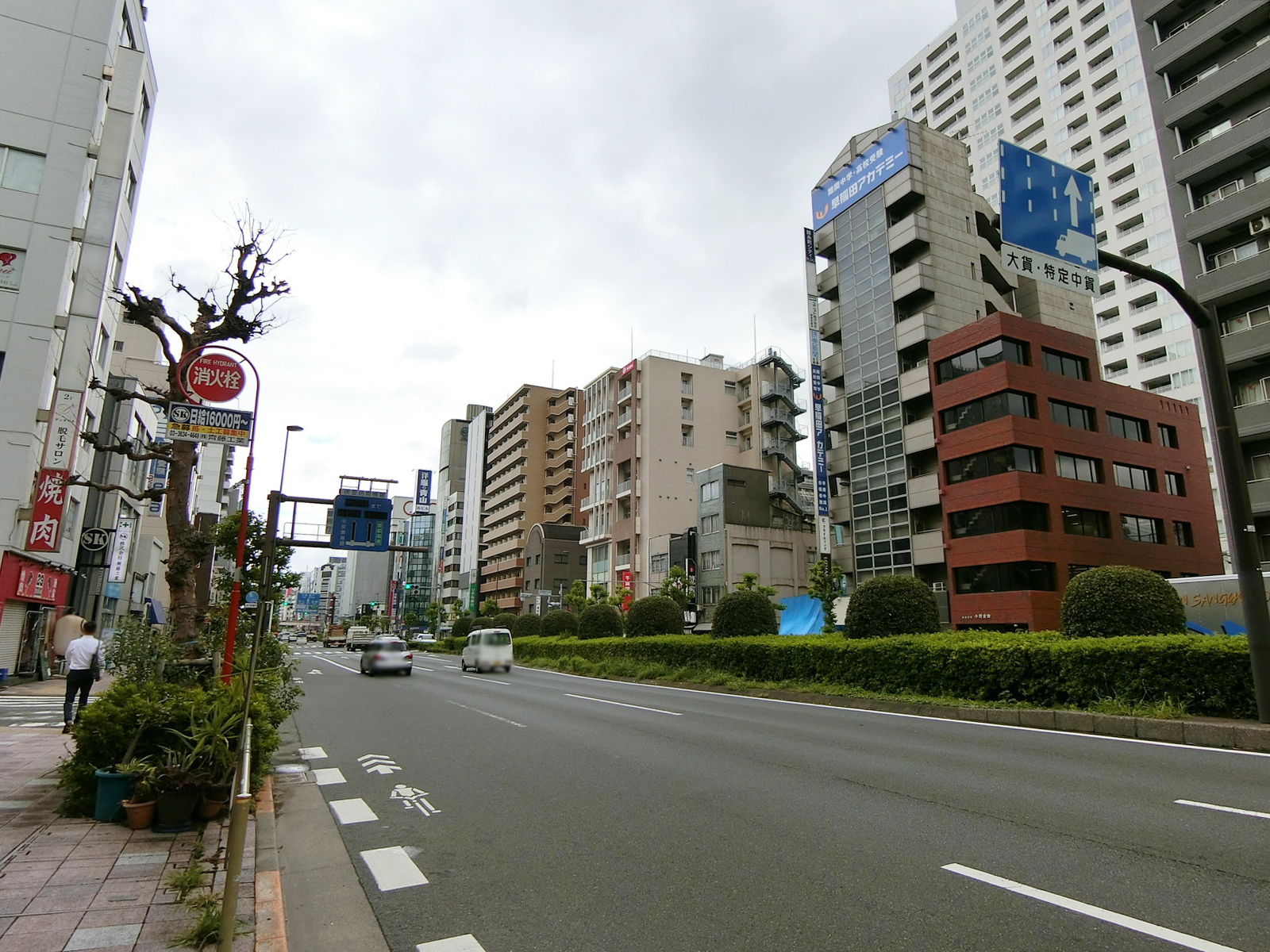 至近の京葉道路