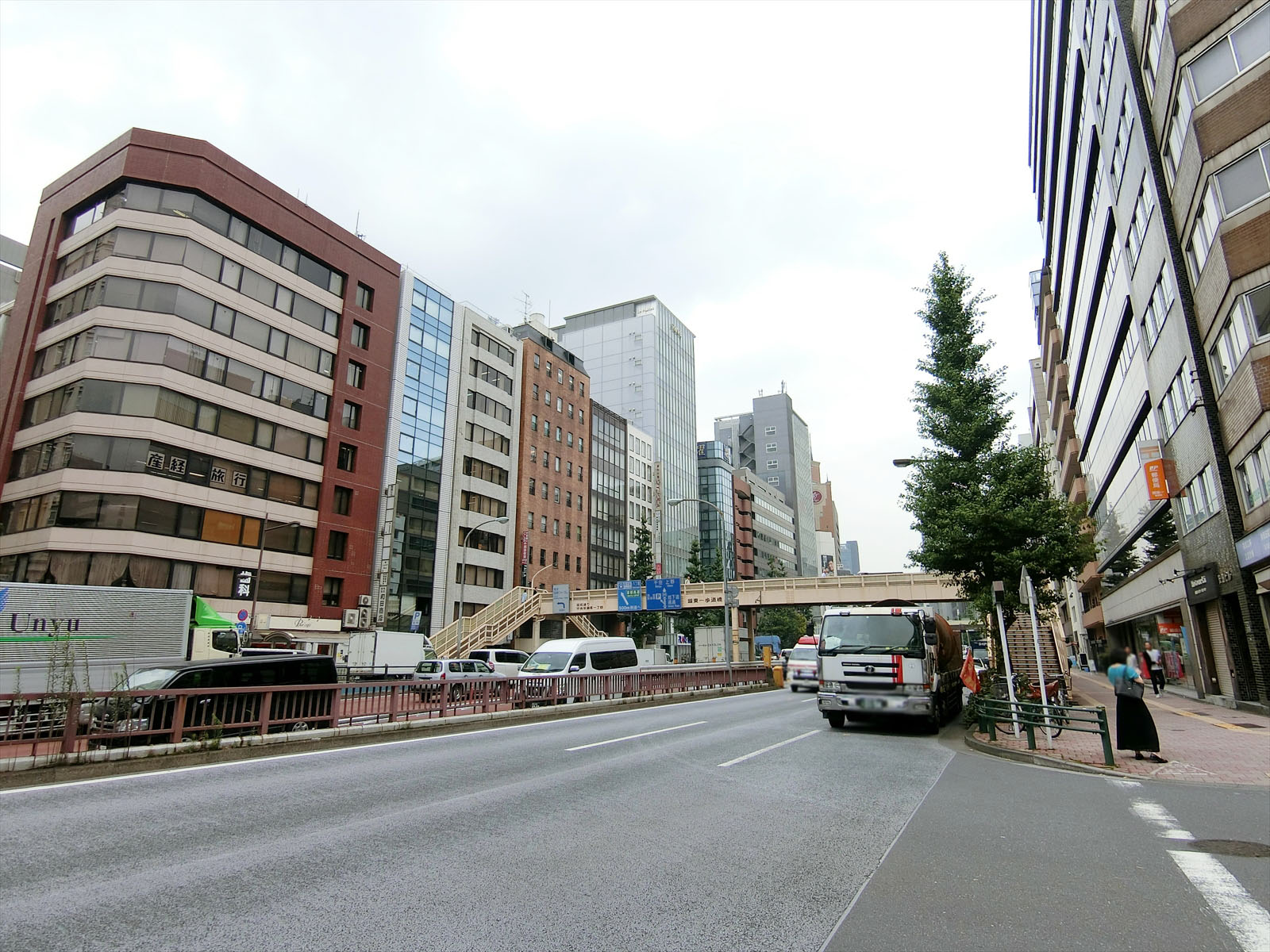 近くの昭和通り