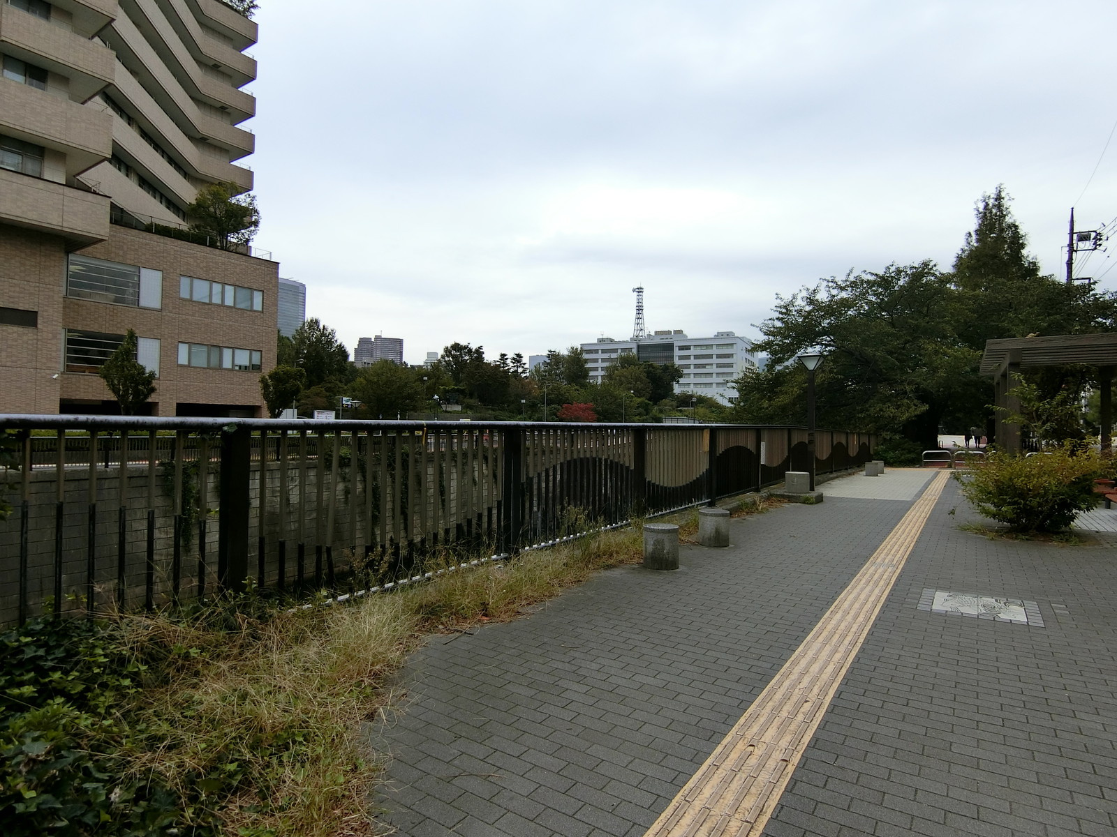 中目黒NKビル前面の田道庚申通り