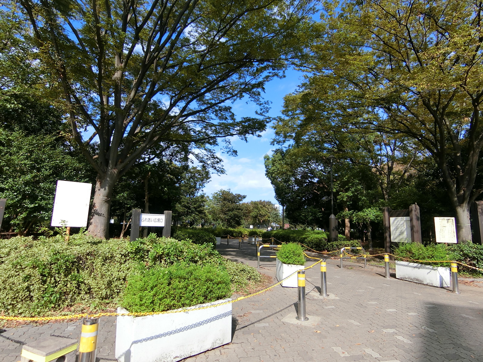 近くにある木場公園