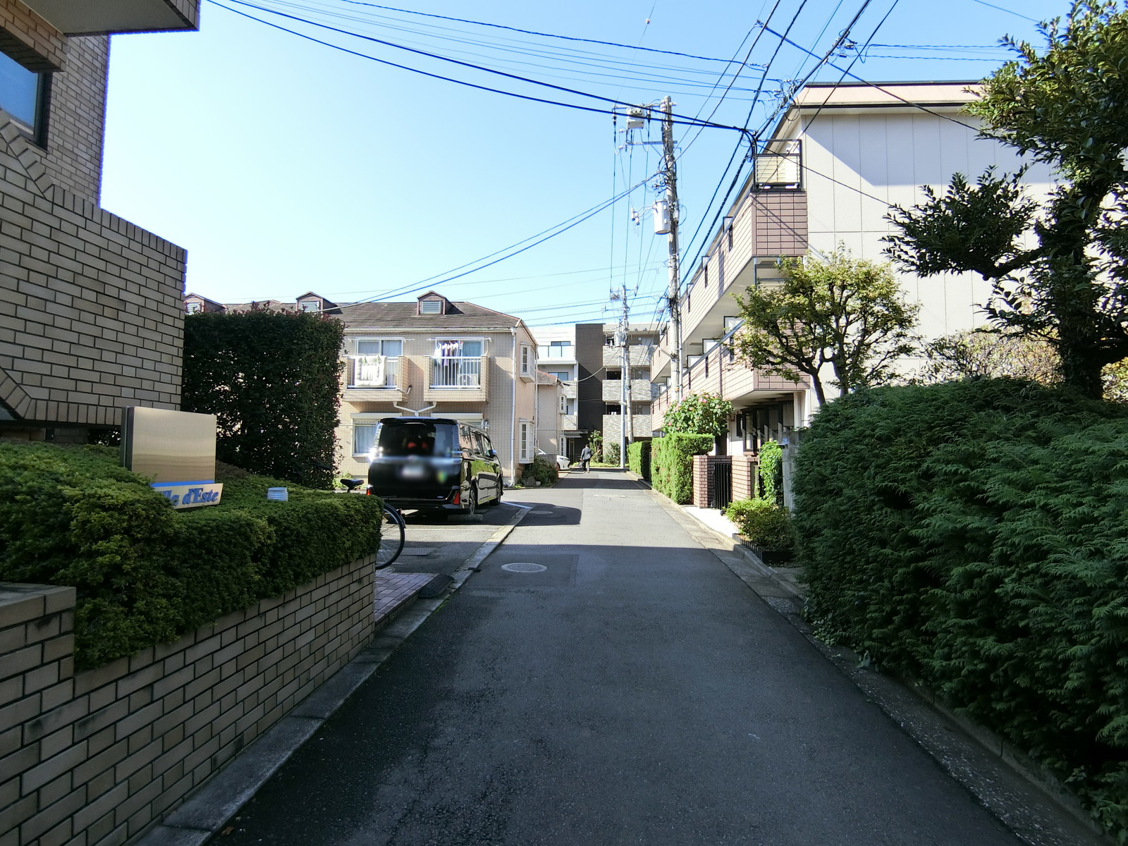 ヴィラ・デステ前面の通り