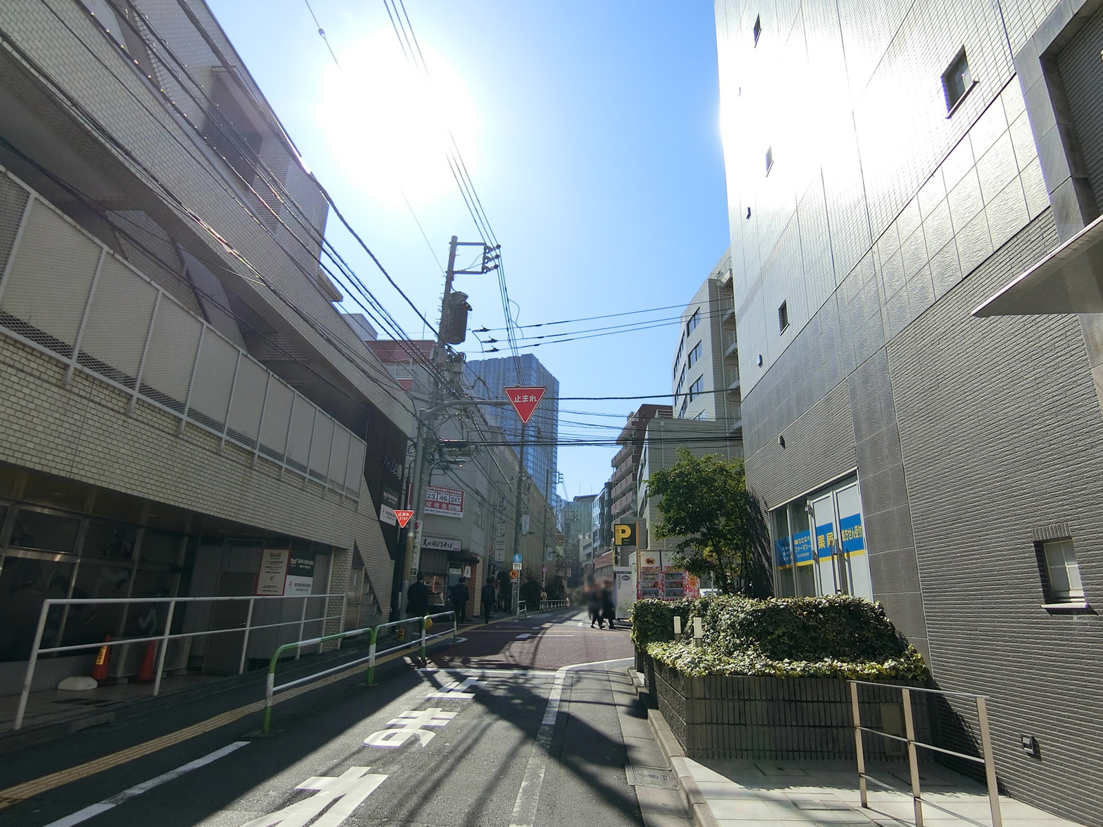 ハイム白雲前面の通り