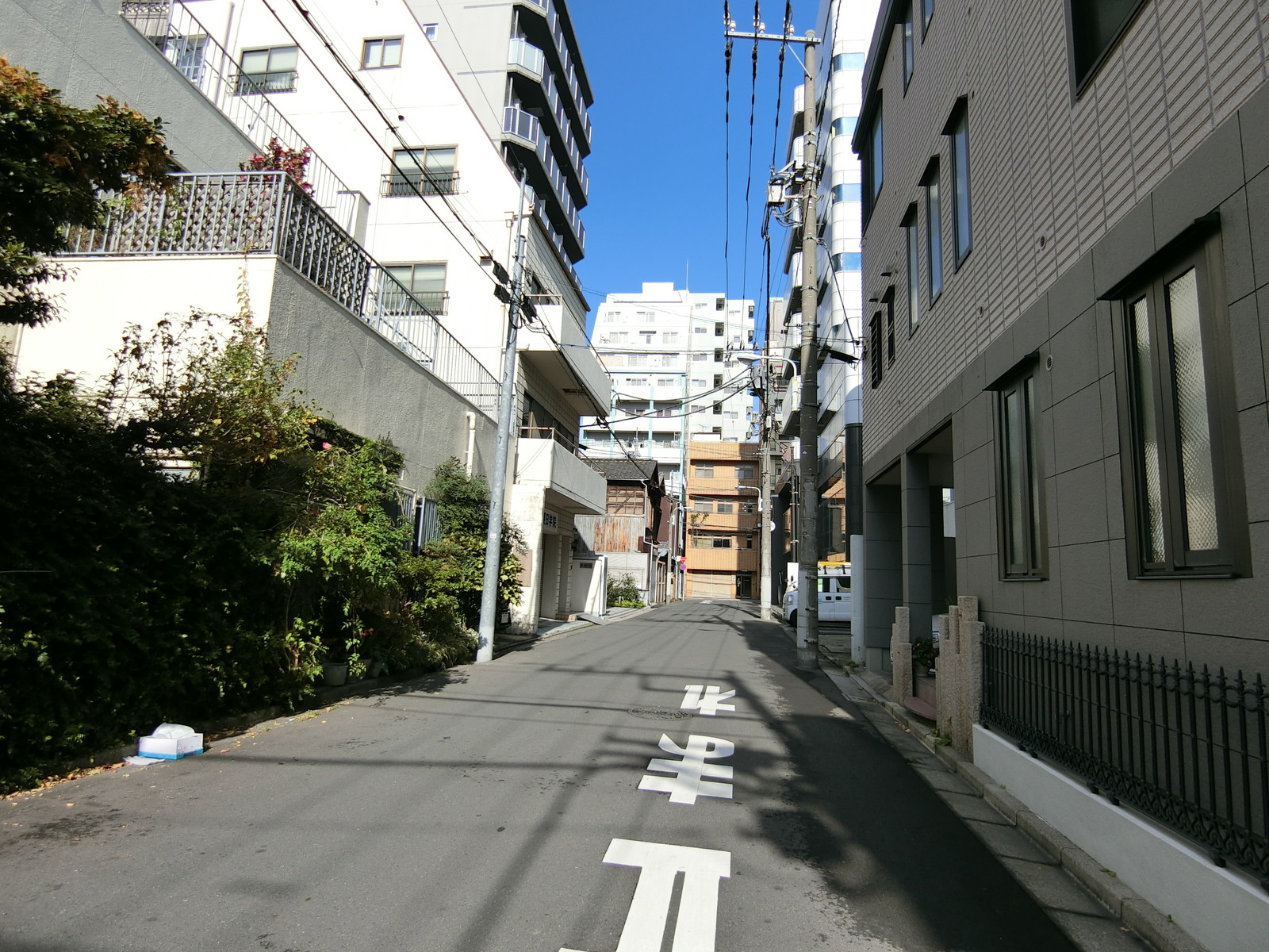 野崎ビル前面の通り