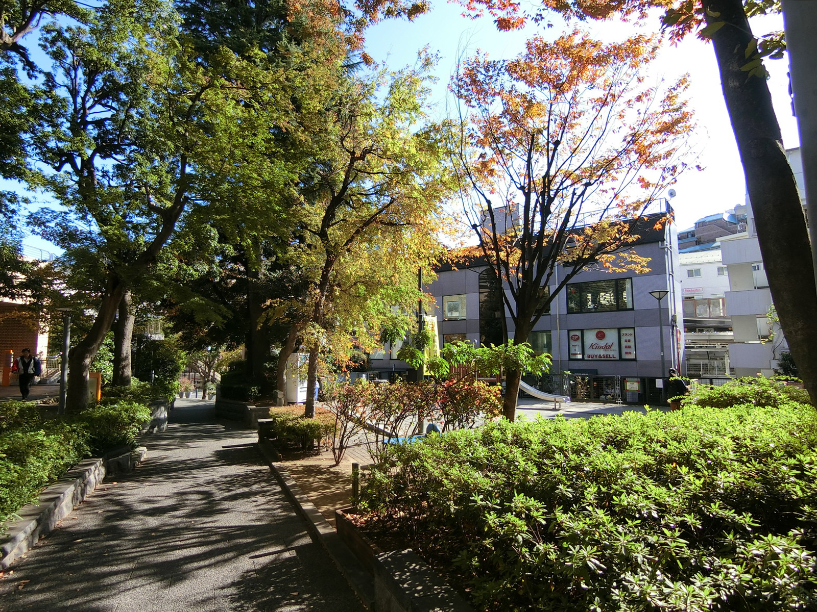 徒歩3分の代官山公園