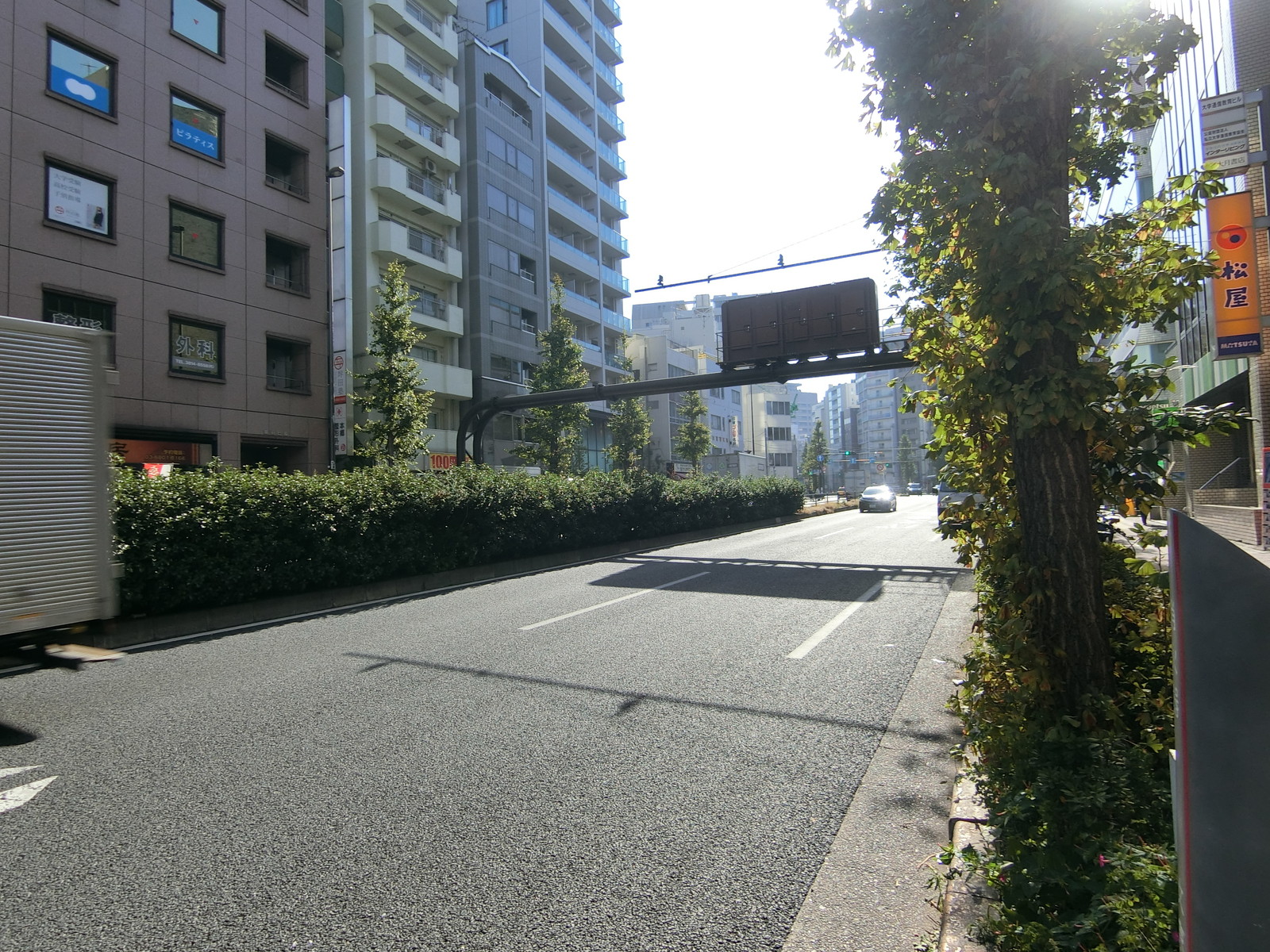 前面の本郷通り