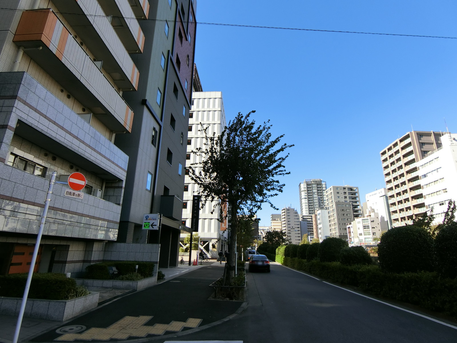 リヴシティ中央区築地前面の通り
