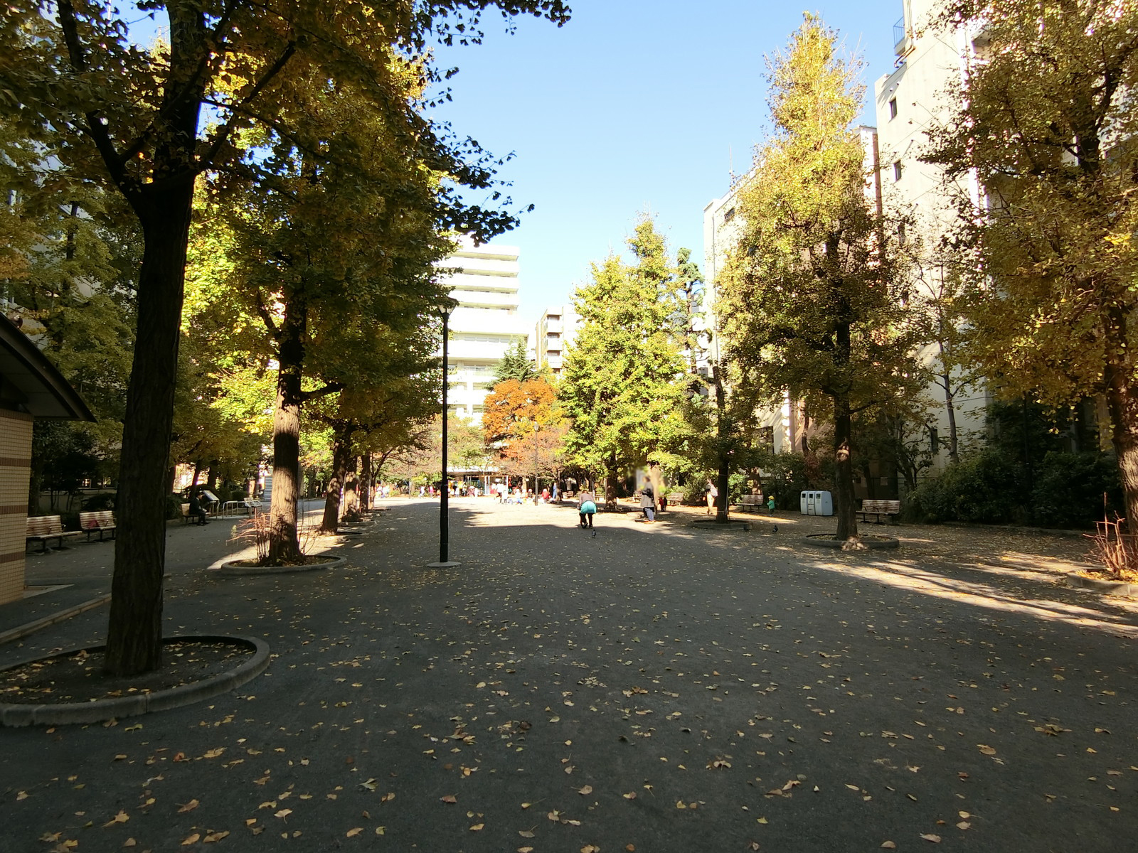 近くの堀留児童公園