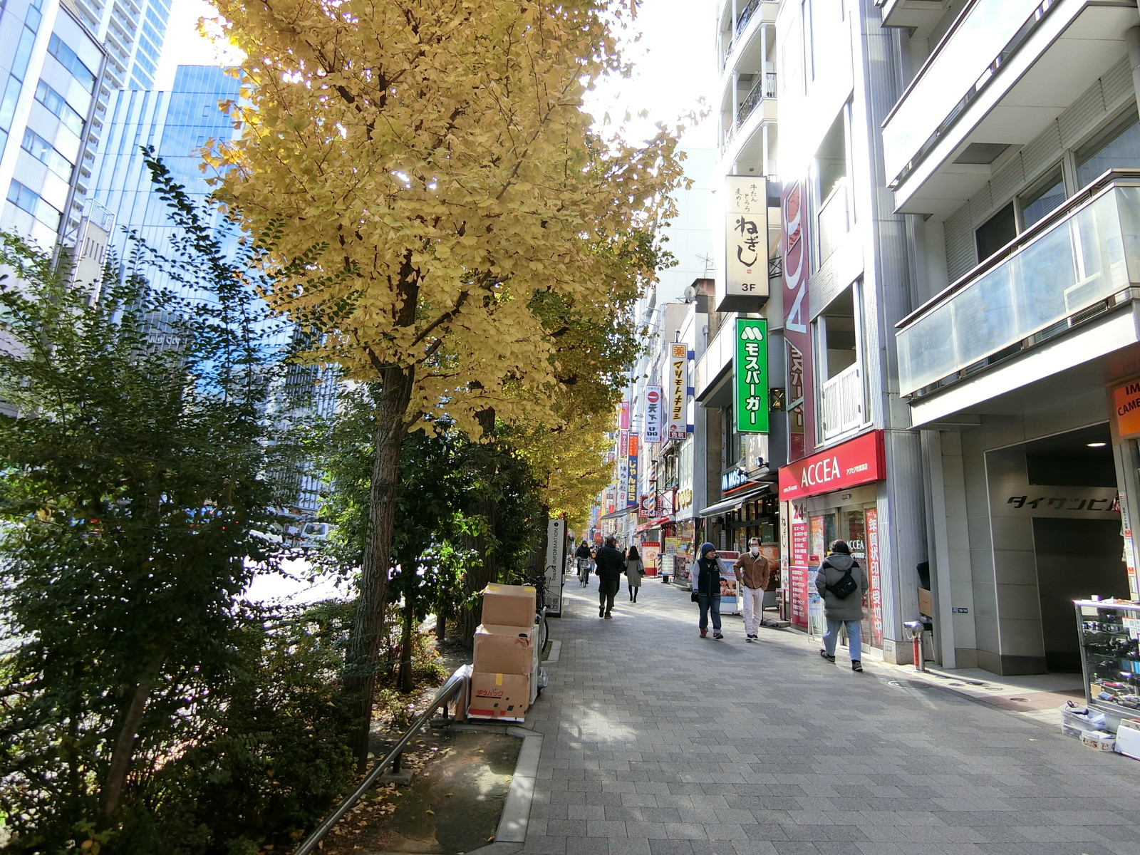 リバティー10号館前面の歩道