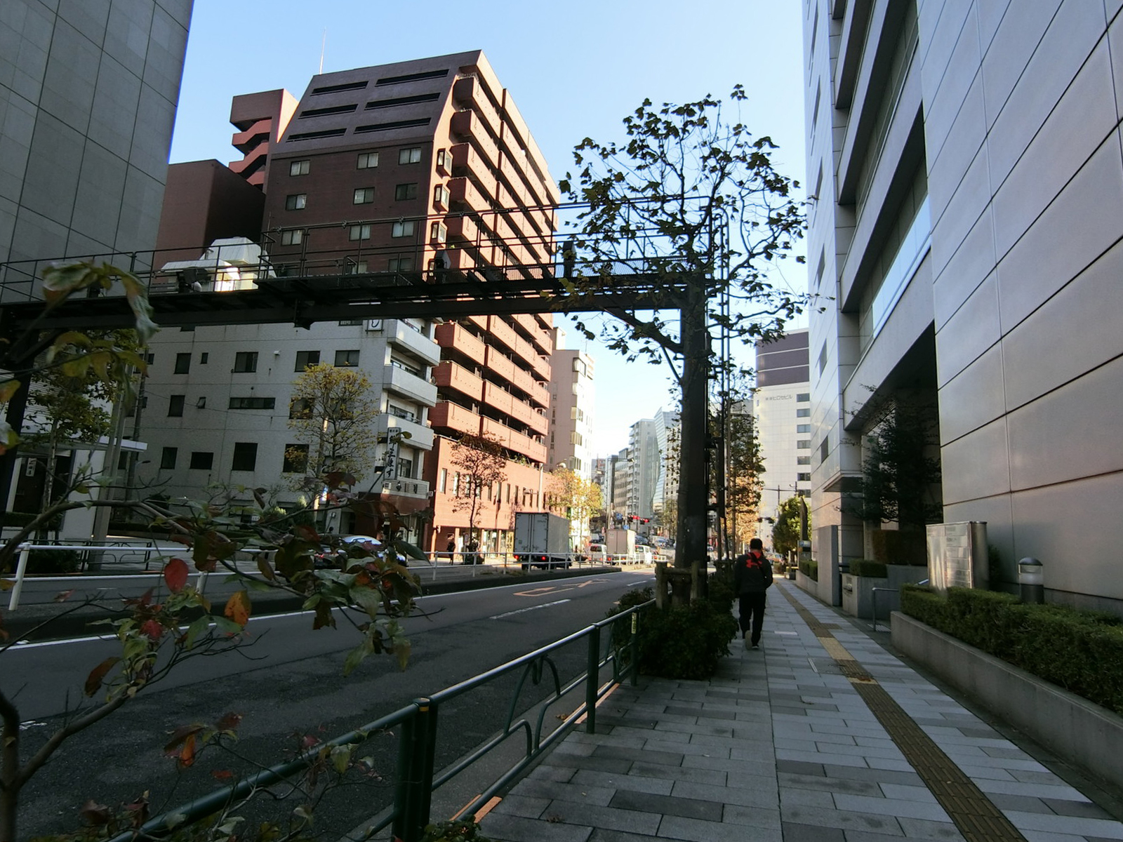 大木戸庁舎前面の新宿通り