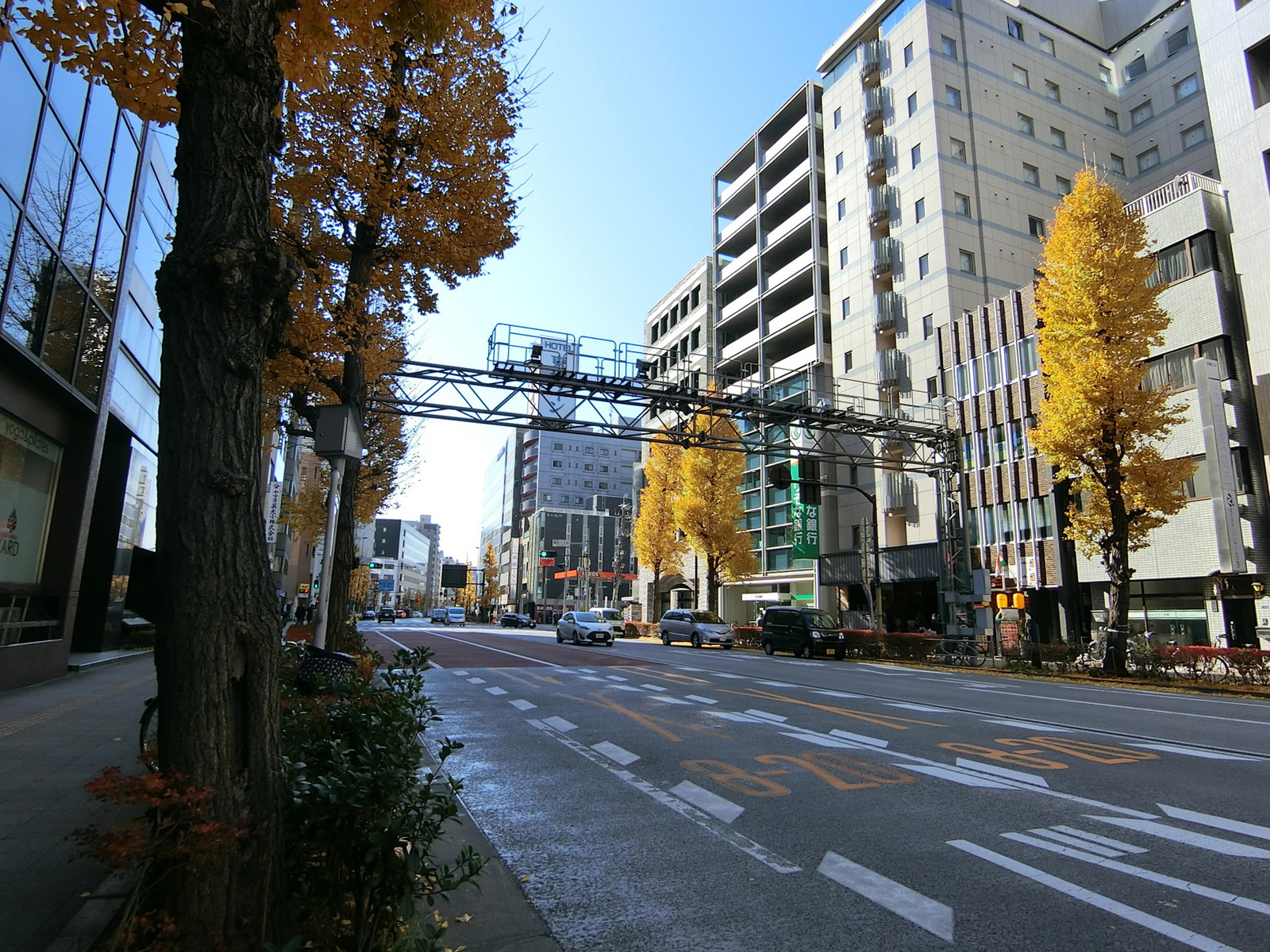 公徳ビル前面の江戸通り