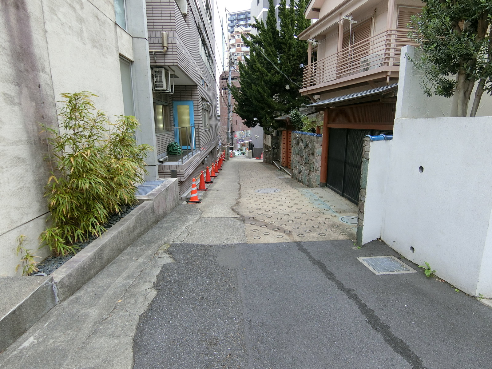Circle Building前面の通り