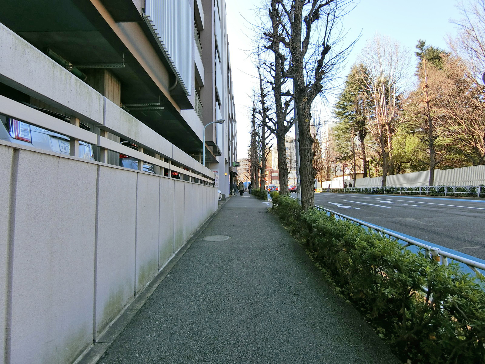 原宿リビン前面の通り