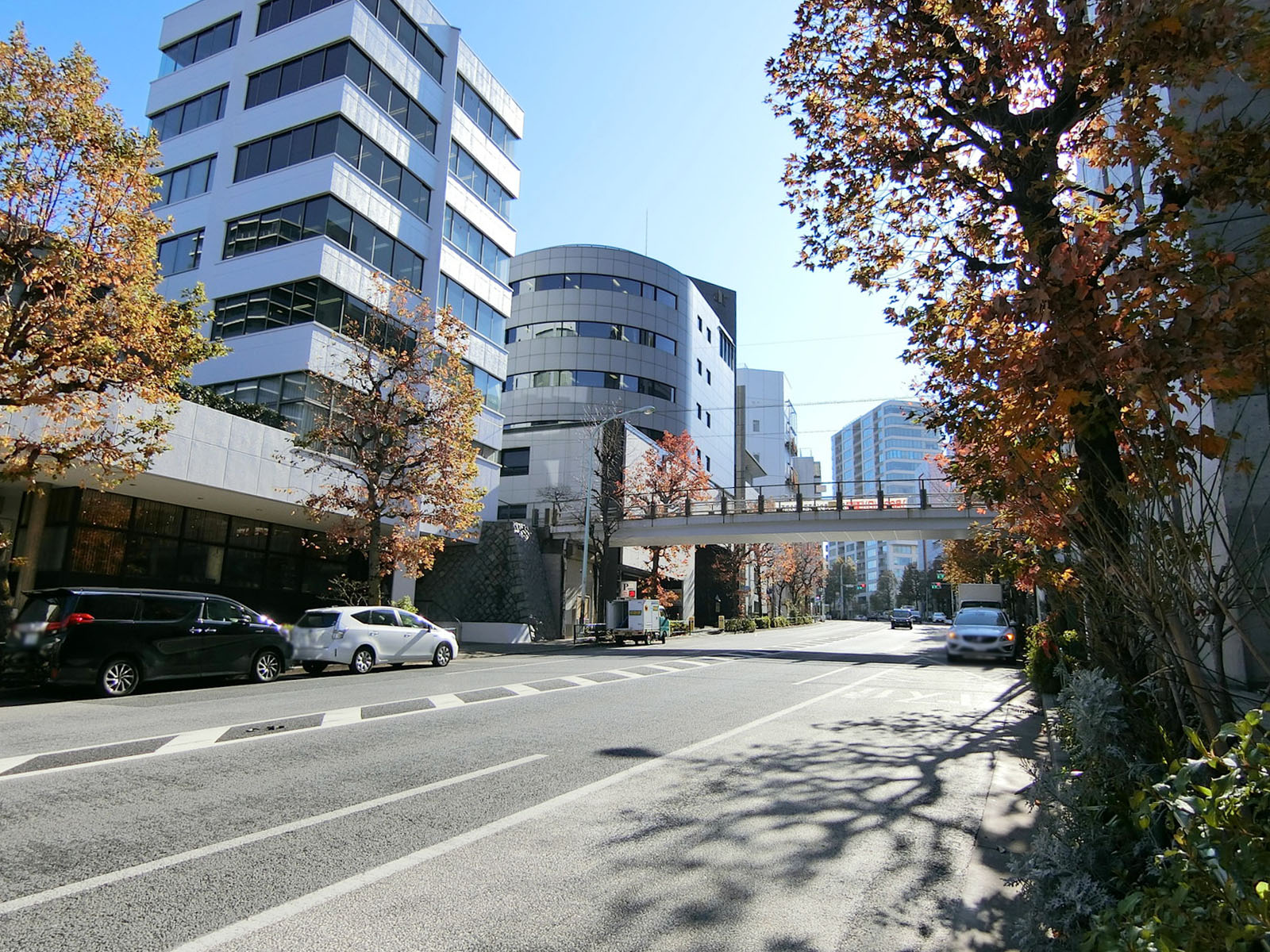 Chateau Ameba前面の外苑西通り