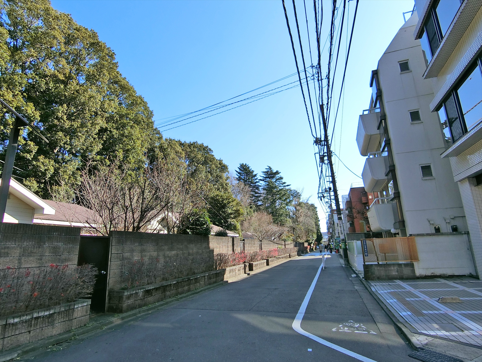 周辺は閑静なエリア