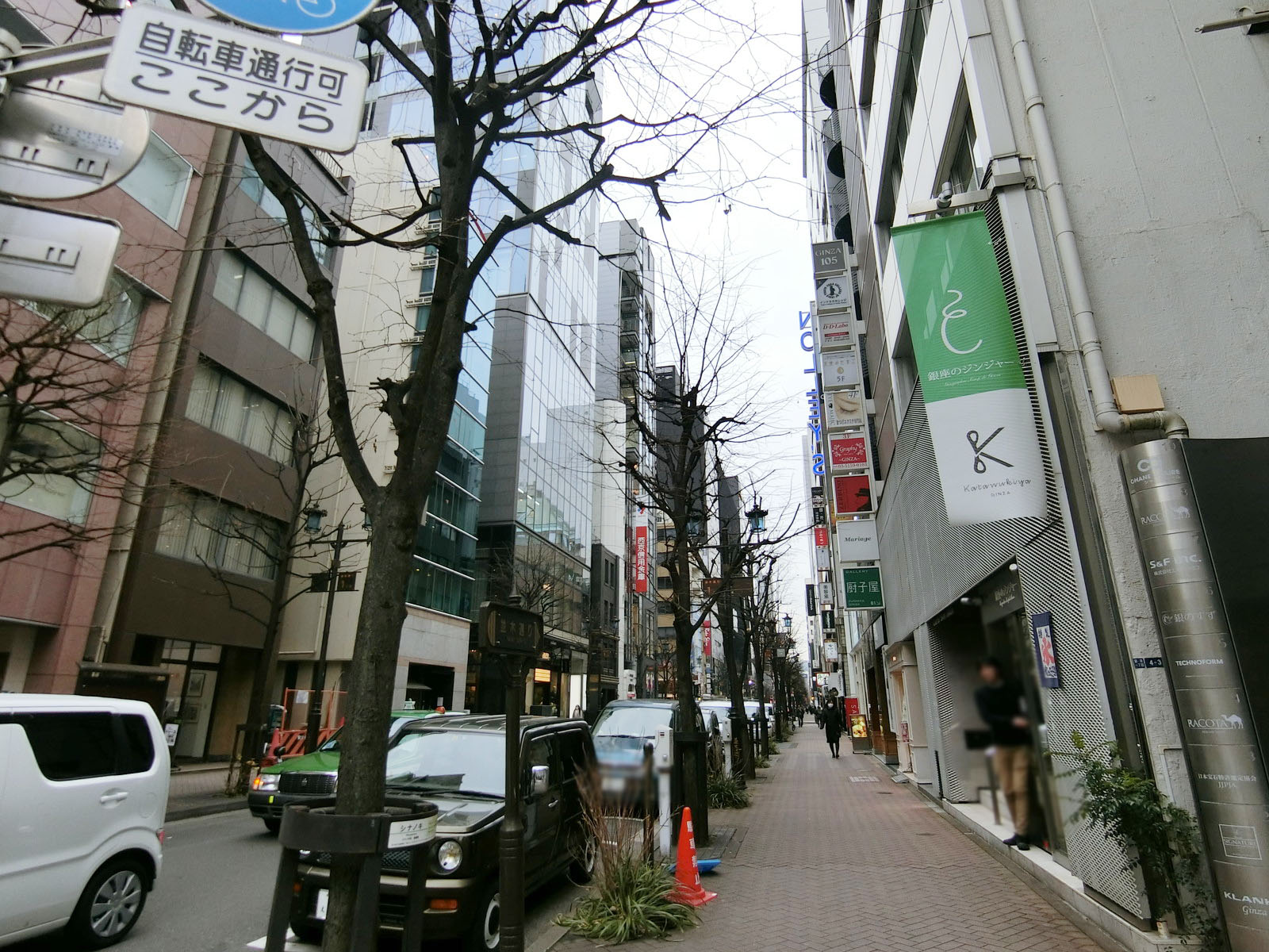 付近の並木通り