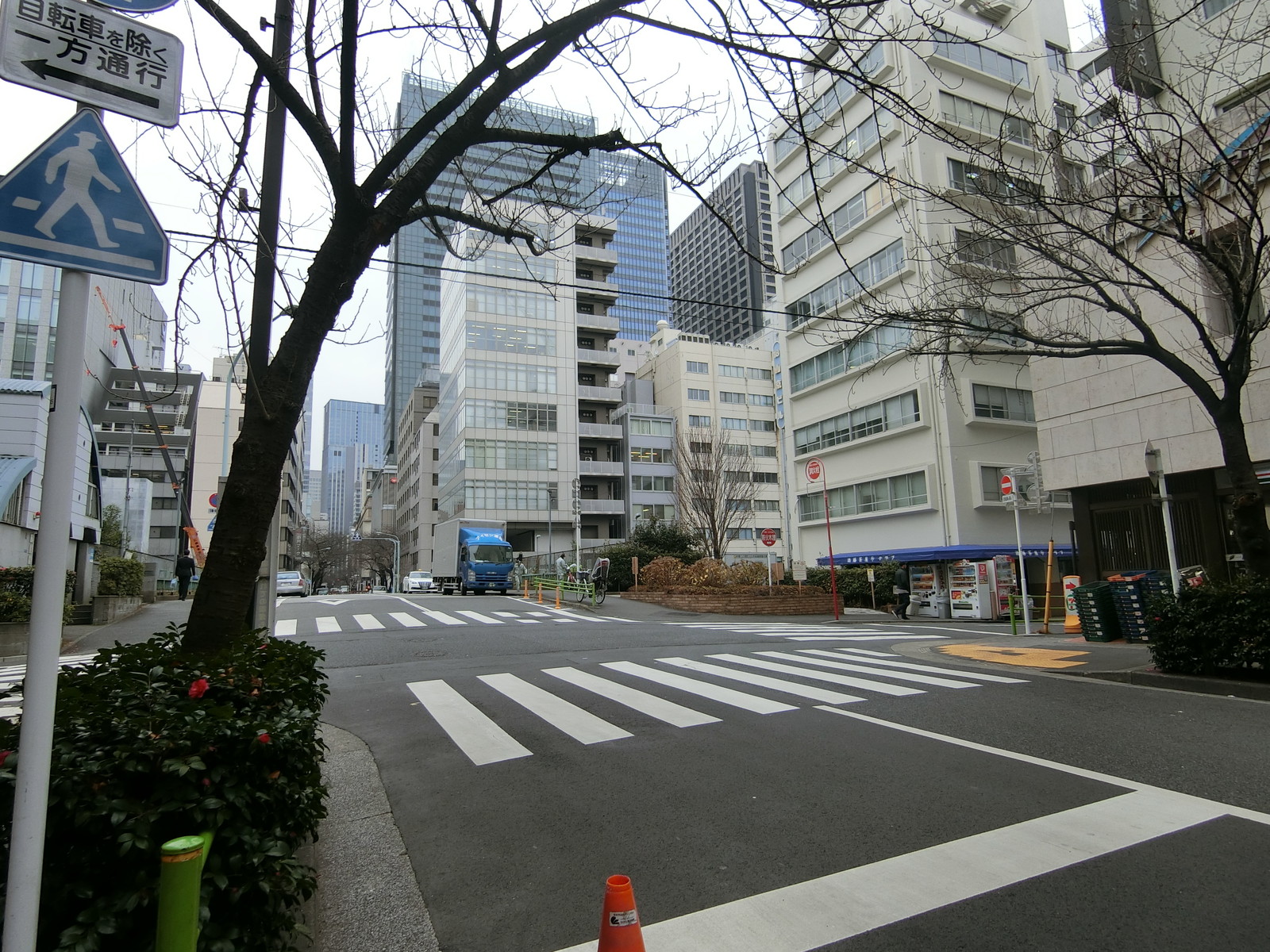 日本橋ロイヤルプラザ前面の通り