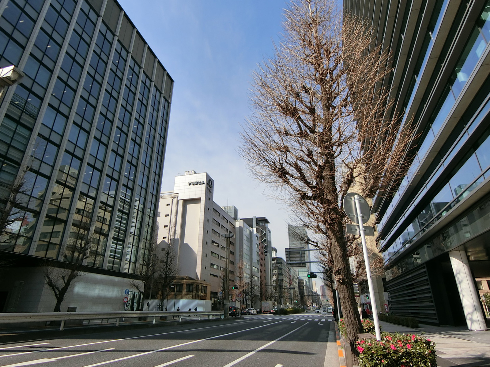 吉半八重洲通りビル前面の八重洲通り