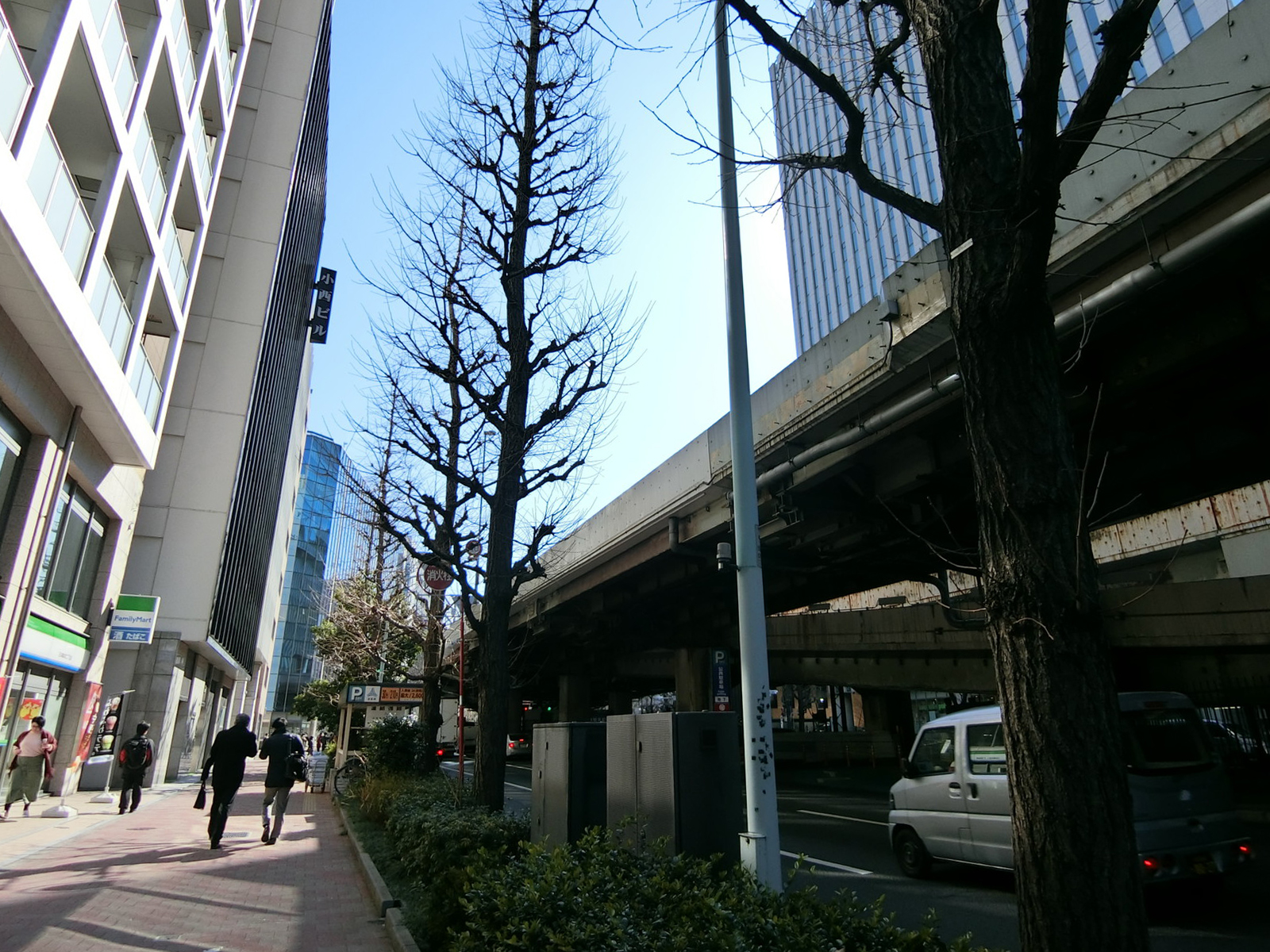 付近の昭和通り