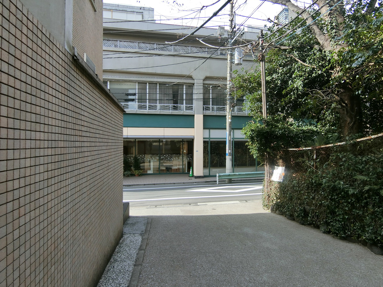 南青山アイビーハウス前面の通り
