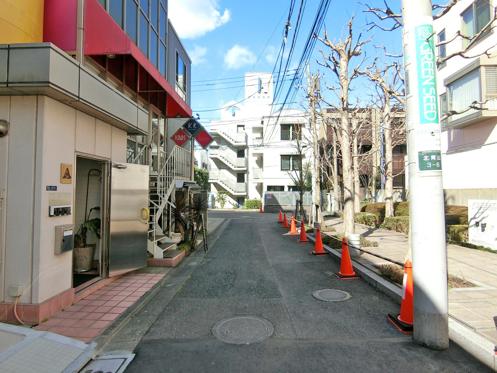 HIBICA表参道前面の通り