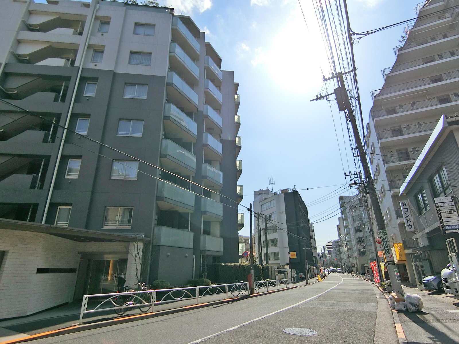 前面の柳通り